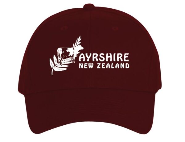 Cap