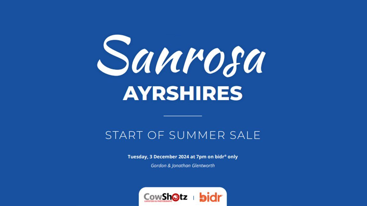 Sanrosa Ayrshires Start of Summer Sale Ayrshire New Zealand