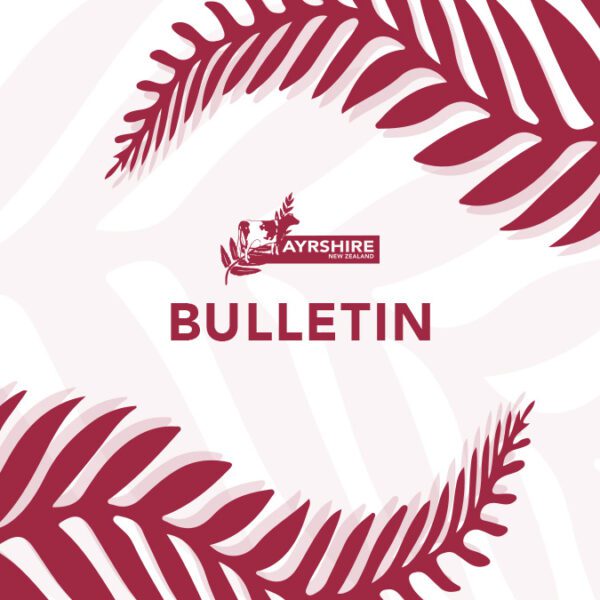 Bulletin